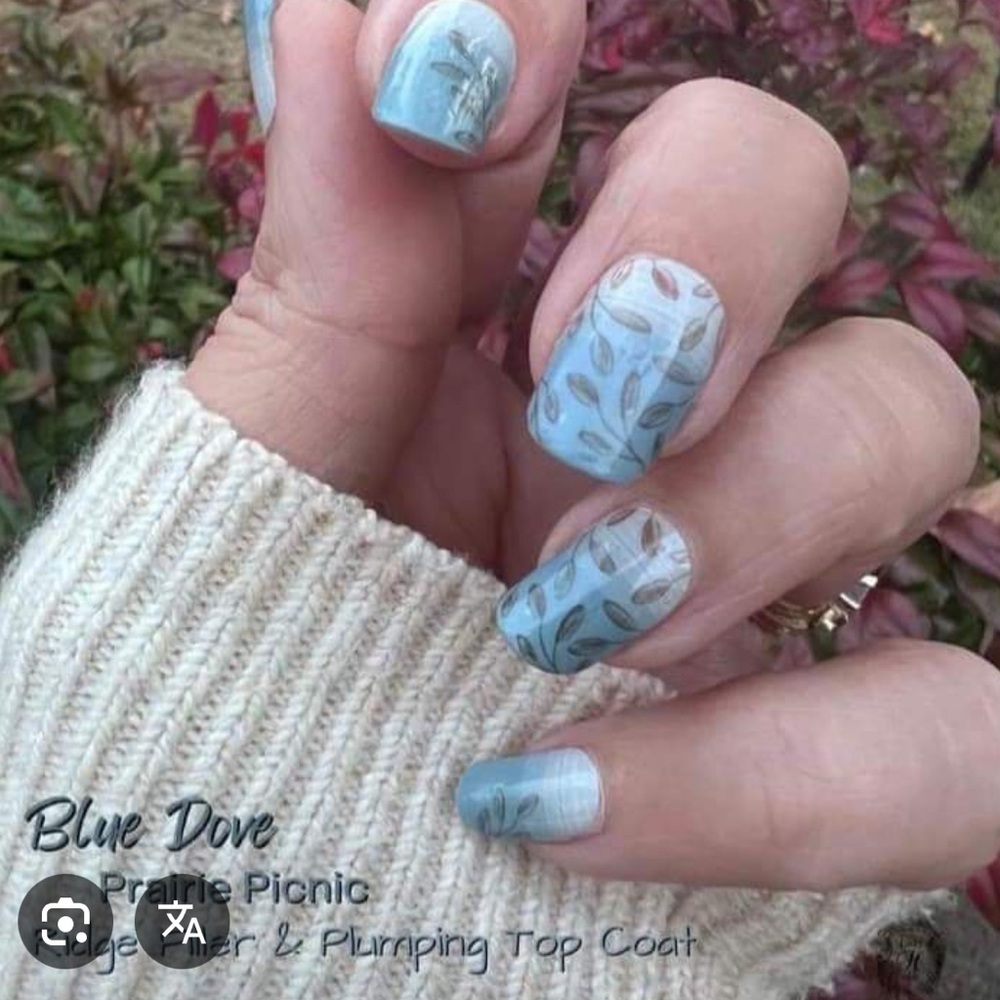*Exclusive* Color Street Prairie Picnic | Floral Leaf Blue Clear Overlay Fall - Picture 9 of 10